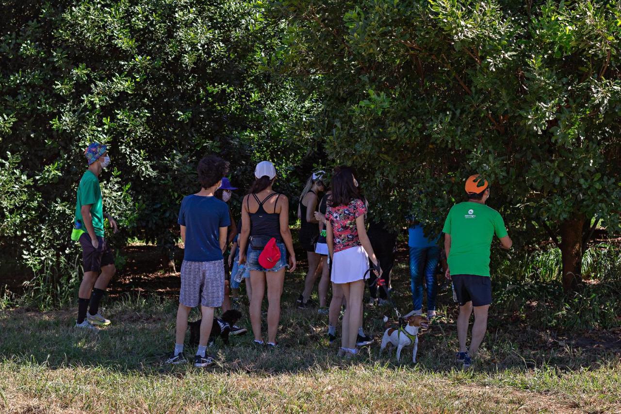 Santa Eliza Eco Resort Ribeirão Bonito Kültér fotó